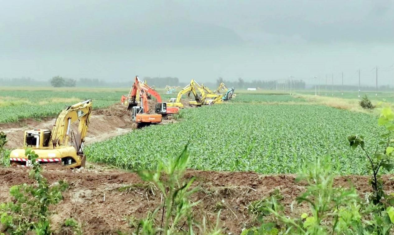 防汛一線 | 天津分公司拆建圍埝1900余米 疏洪搶險刻不容緩