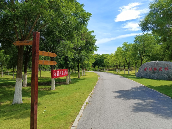 天津市東麗郊野公園PPP項目順利通過