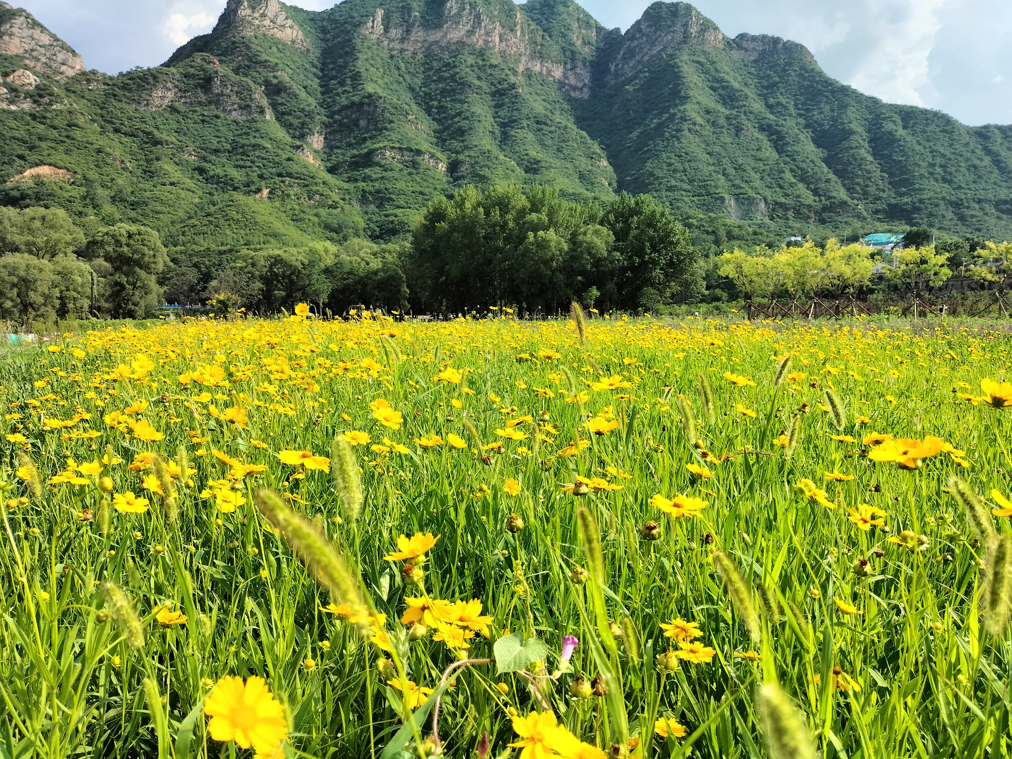 【敬請收看】央視《創(chuàng)新進行時》專題報道永定河山峽段青白口濕地，將于2月20日精彩上線